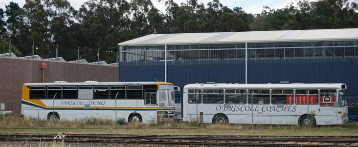 O'Driscoll Coaches Spartan TB275 Custom 23 & Leyland Tiger PMC